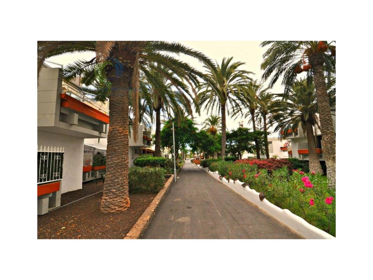 Apartamento Primavera Costa Del Silencio Εξωτερικό φωτογραφία